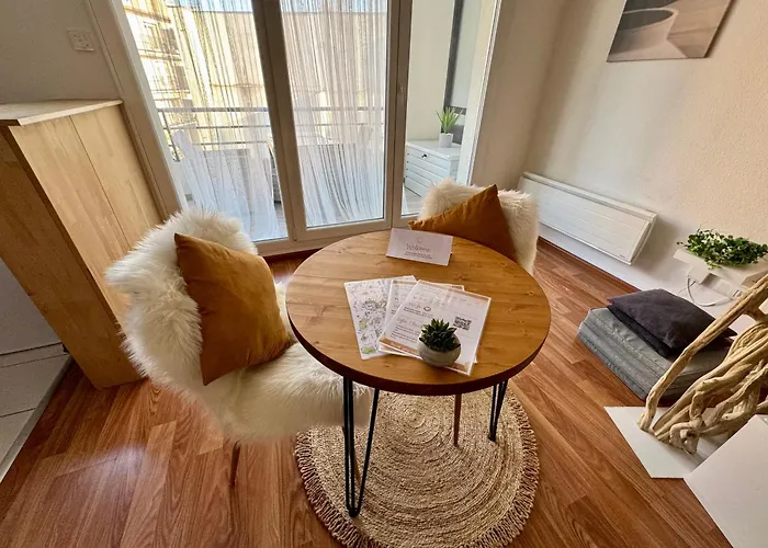 Bienvenue Au Raio De Sol - Centre - 2 Guests Appartement Colmar